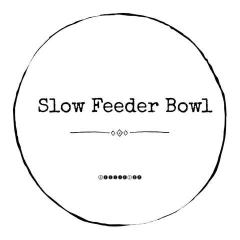 Slow Feeder Stainless Dog Bowl